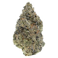 Sunset Sherbet Craft Flower