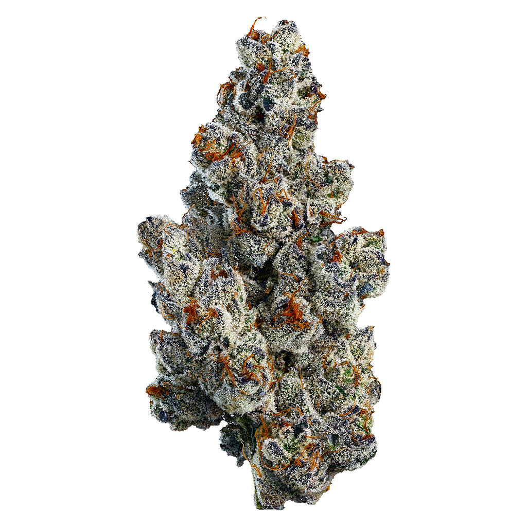 Organic Bling Blaow Craft Flower - 