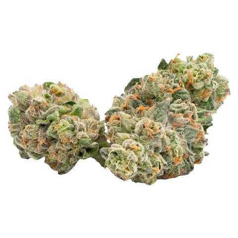 Photo AK 47