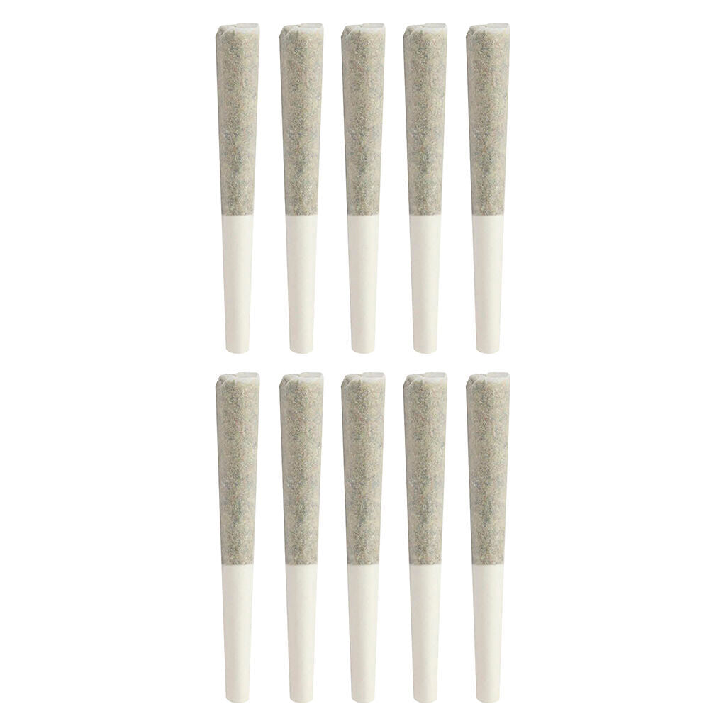 Animal Junky Dog Walker Pre-Roll - 