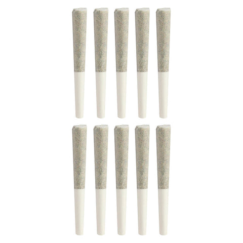 Photo Animal Junky Dog Walker Pre-Roll