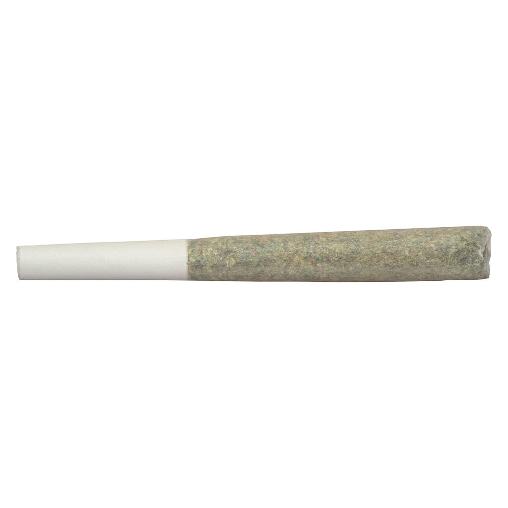 Préroulé Blanh Indica