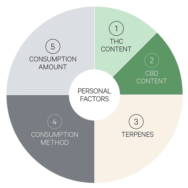 Factors in Choosing Cannabis Products