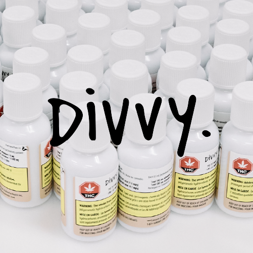 Meet Divvy from Emblem