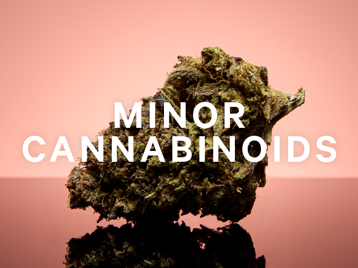 What Are Minor Cannabinoids?