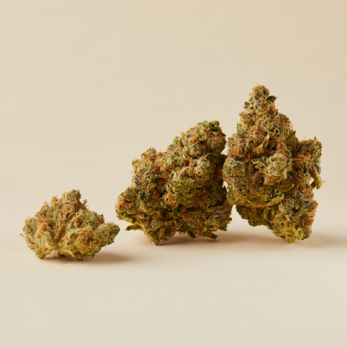 Ontario Grown Dried Flower