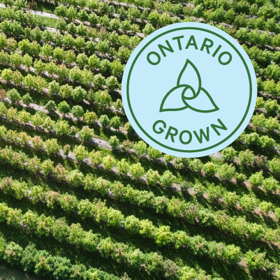 Ontario Grown