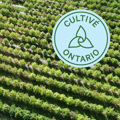 Cultivé Ontario