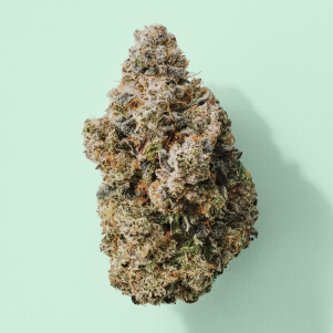 Craft Indica