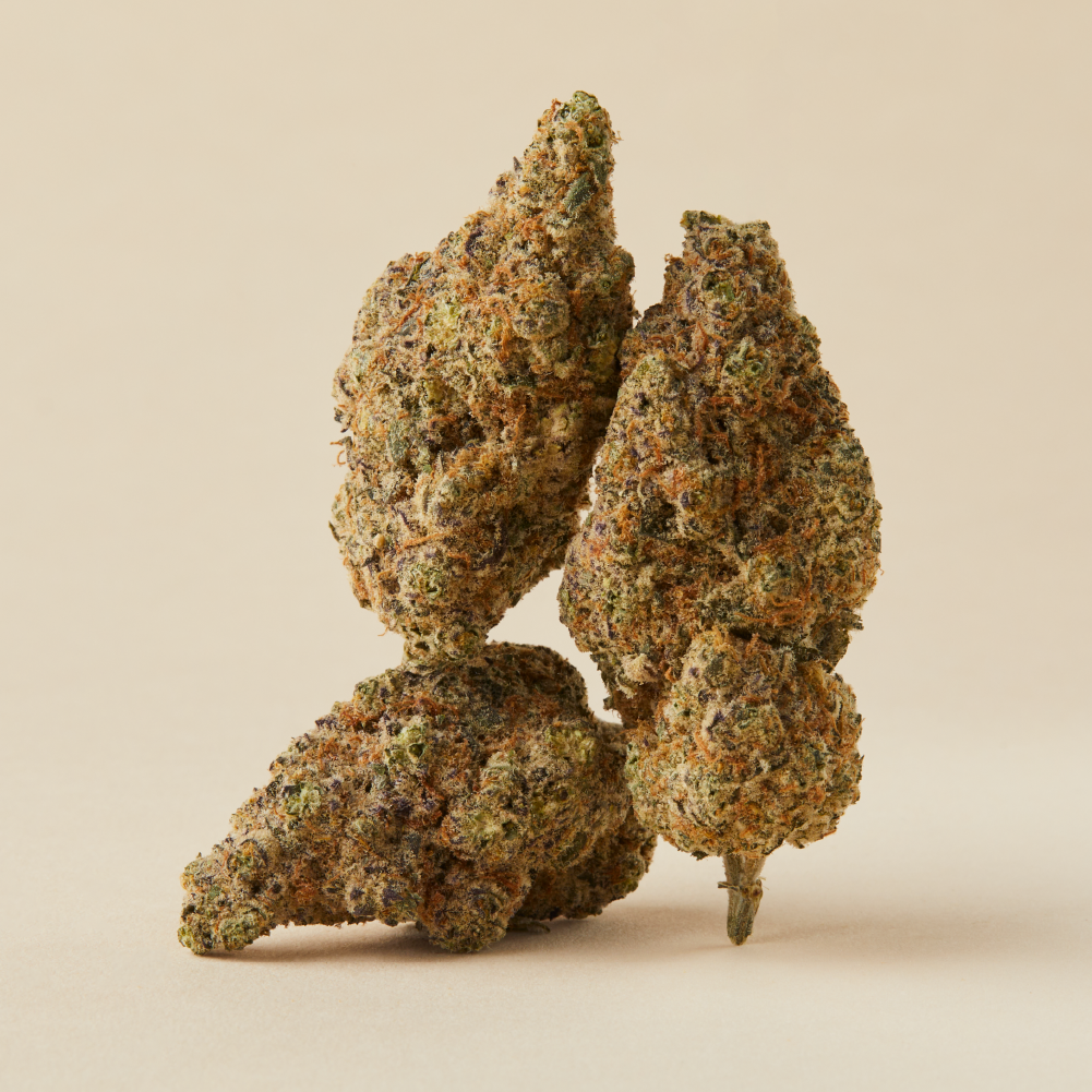 OCS Logo - Dried Flower