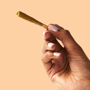 Infused Pre-Rolls Under $20