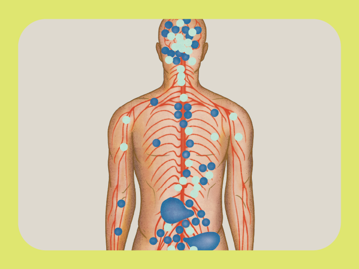 How Does Cannabis Work in My Body?