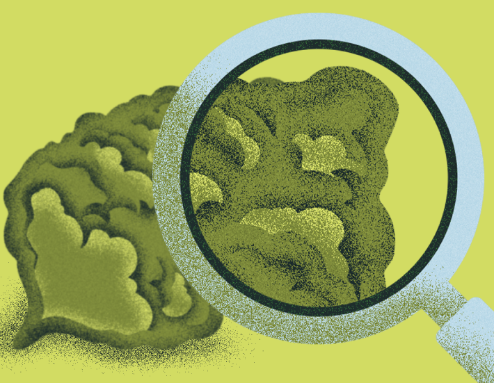 Debunking Cannabis Myths