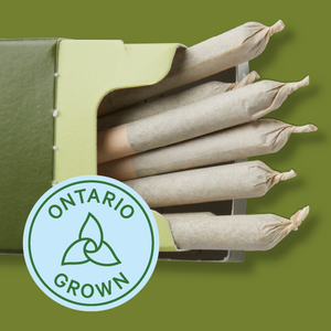 Ontario Grown 10-Pack Pre-Rolls