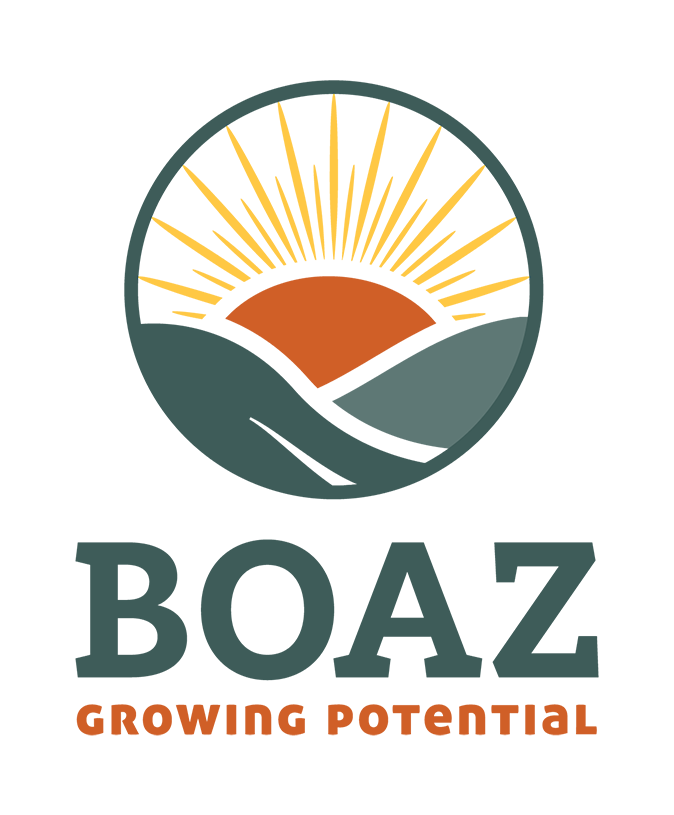 Boaz Collection