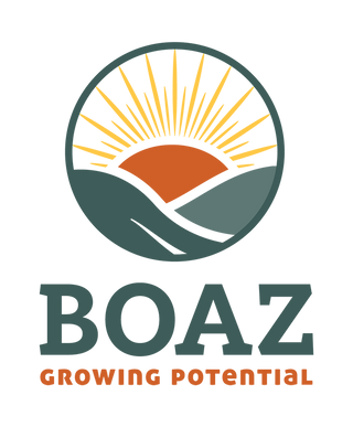 Boaz Collection