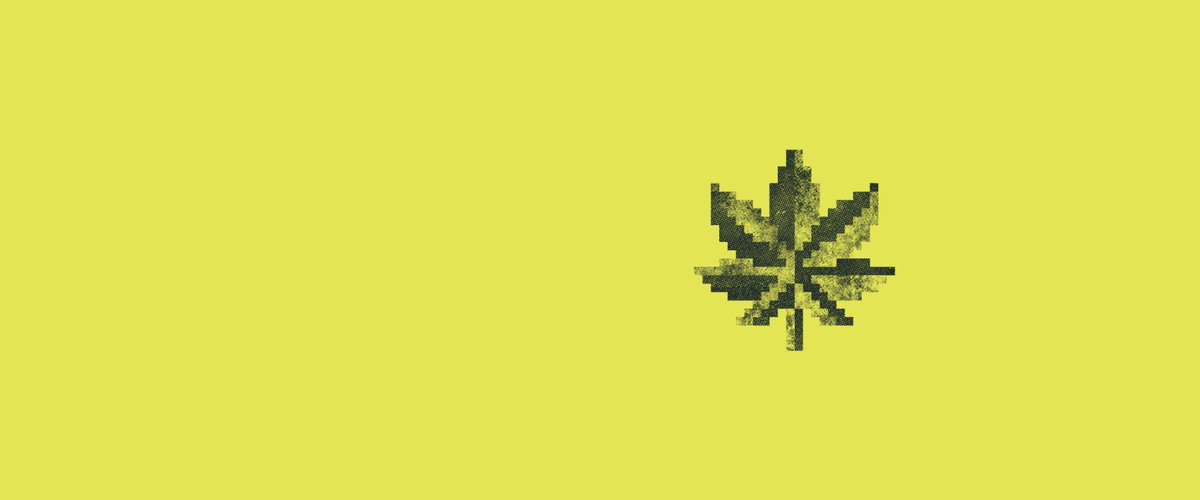 ILLEGAL CANNABIS IS A BUZZKILL