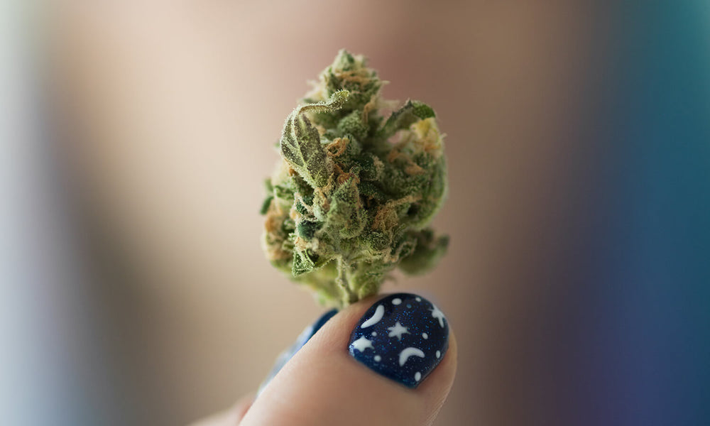 Physical and Mental Health Effects of Cannabis | Cannabis Made Clear ...