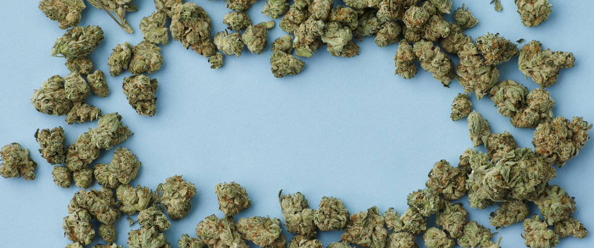 All About Cannabis
