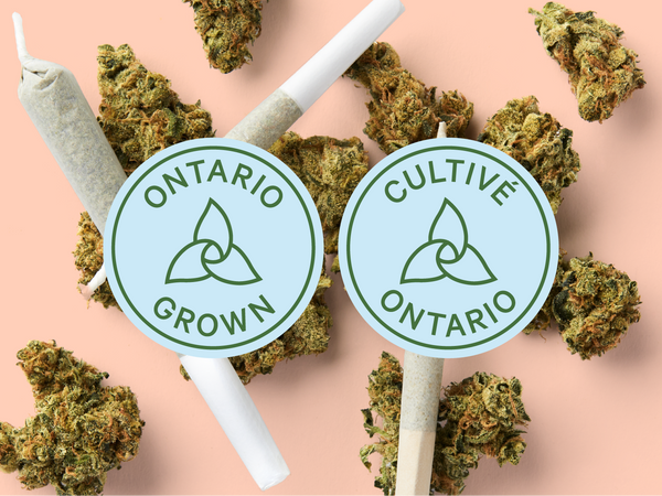 Explore Ontario Grown Cannabis