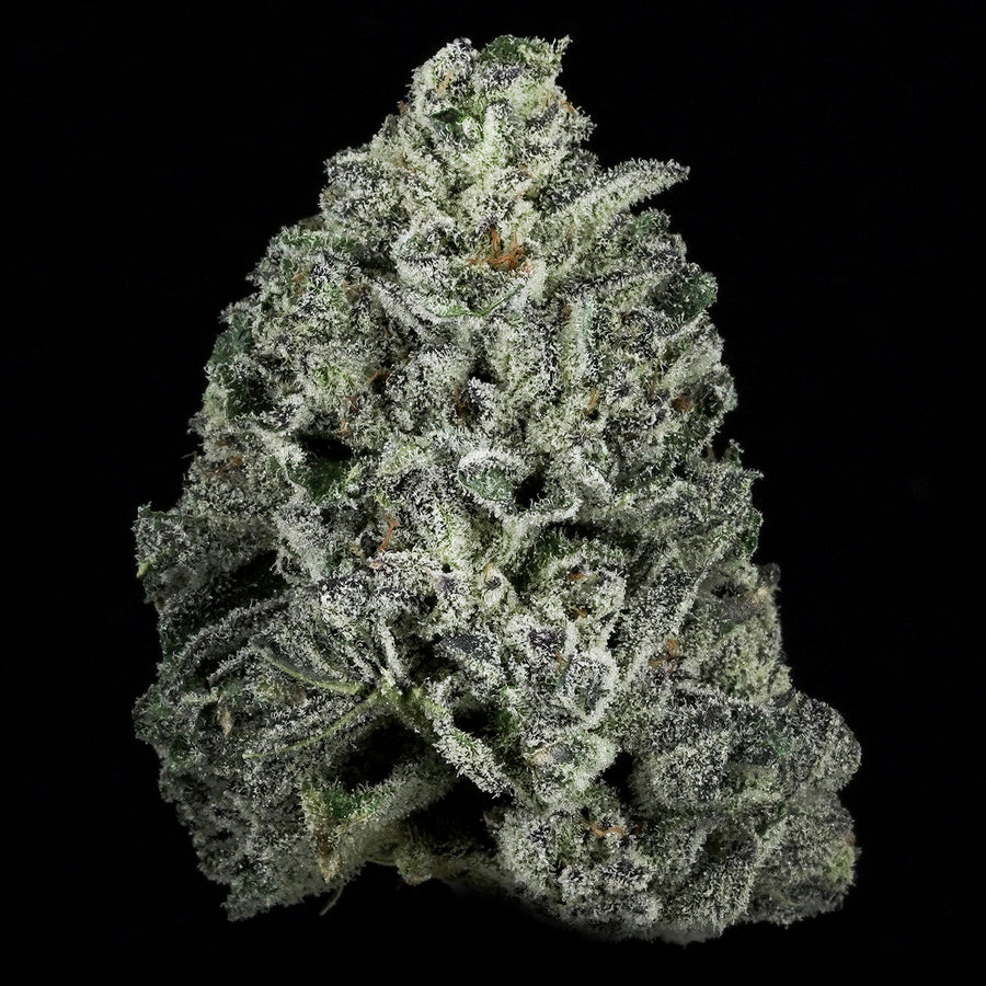 Disciplined Cultivation