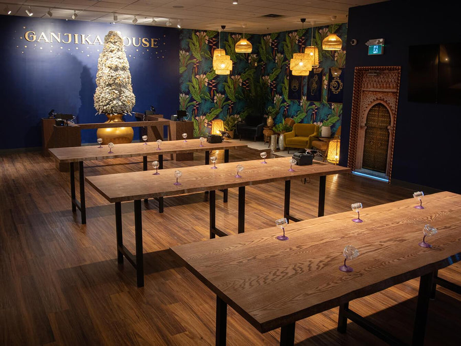 Ontario Now Has 1,000 Legal Cannabis Stores! Let’s Celebrate Some Milestones Along the Way