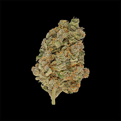 Muskoka Grown Flower