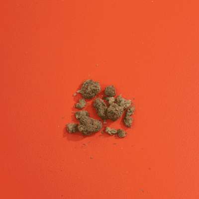 Find out why SHRED is easier