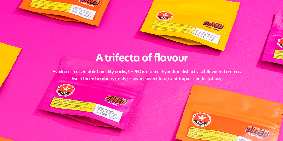 A Trifecta of flavour