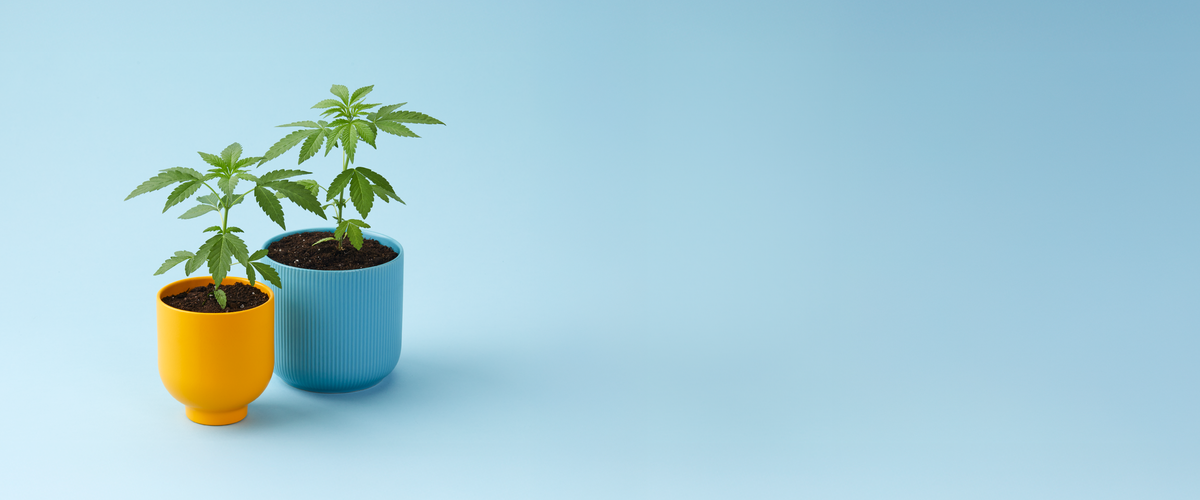 Social Impact Fund