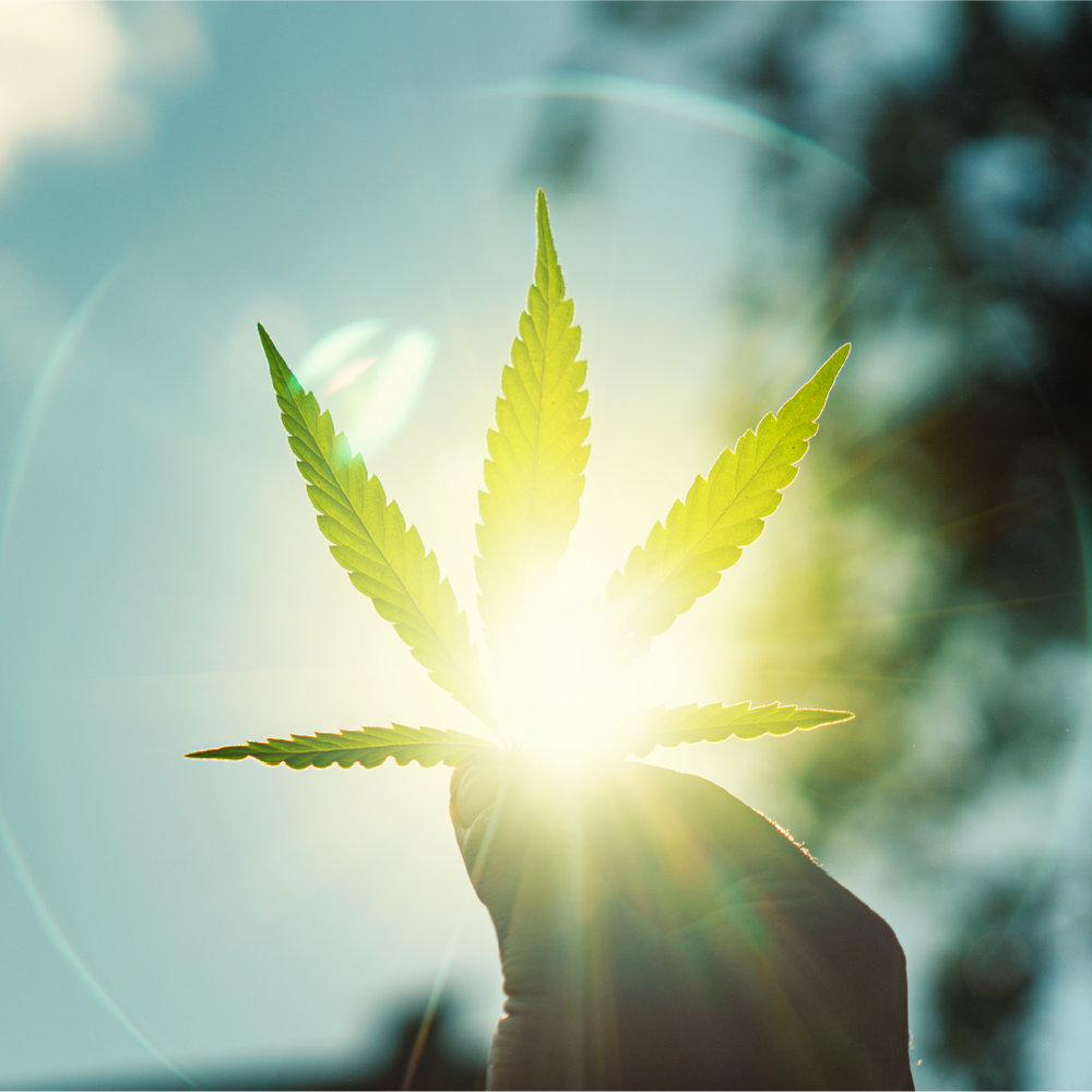 Social Impact Fund en 1