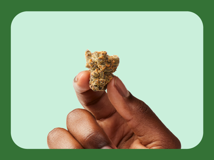 All About Cannabis