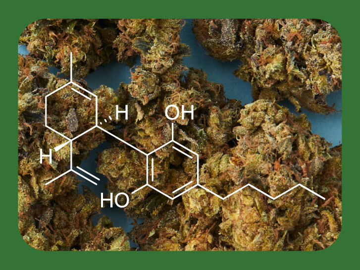 What is CBD?