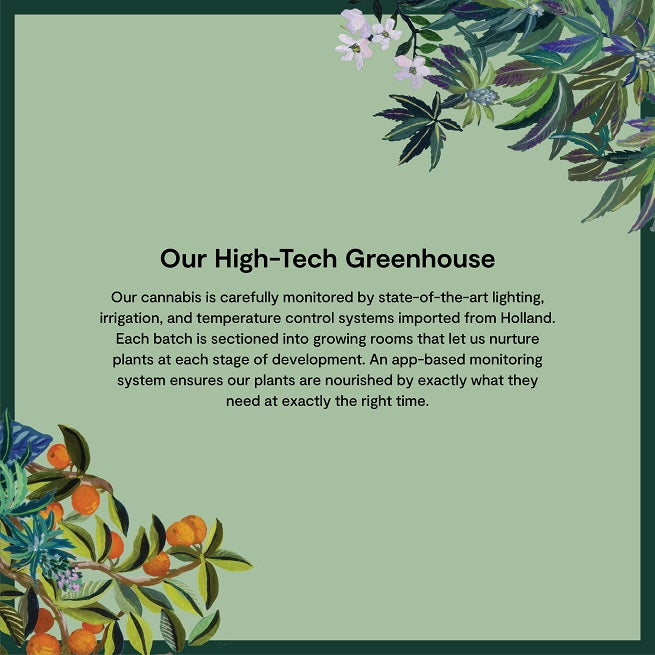 Tech Greenhouse