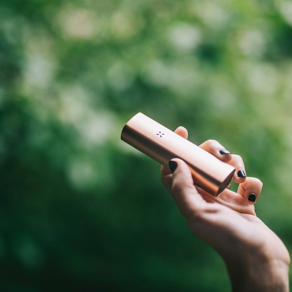 Pax Labs | Ontario Cannabis Store | Ontario Cannabis Store Pax Labs | Ontario Cannabis Store | Ontario Cannabis Store