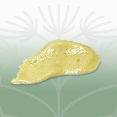 Shop WholeHemp Cream