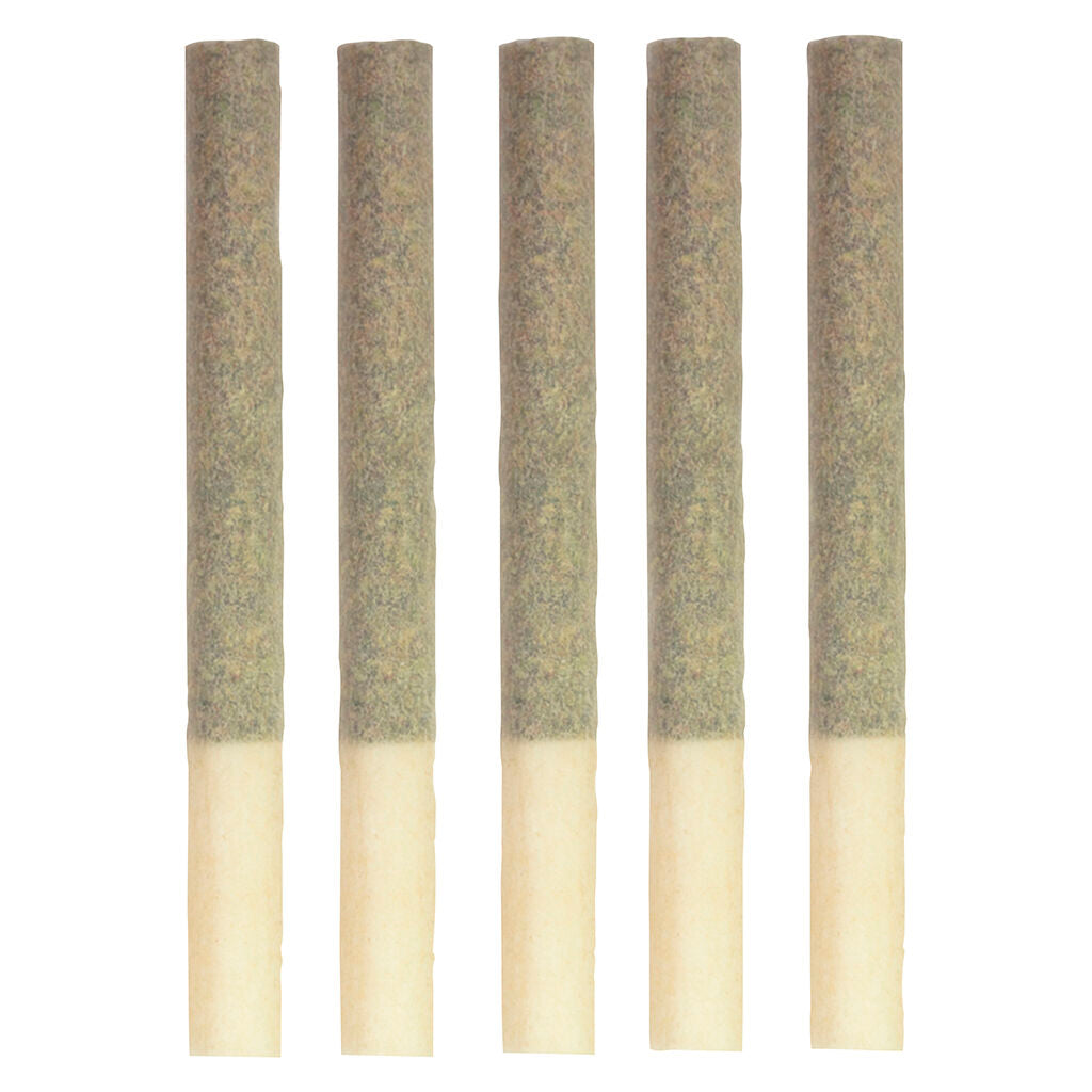Kings - Extreme Pre-Roll - 