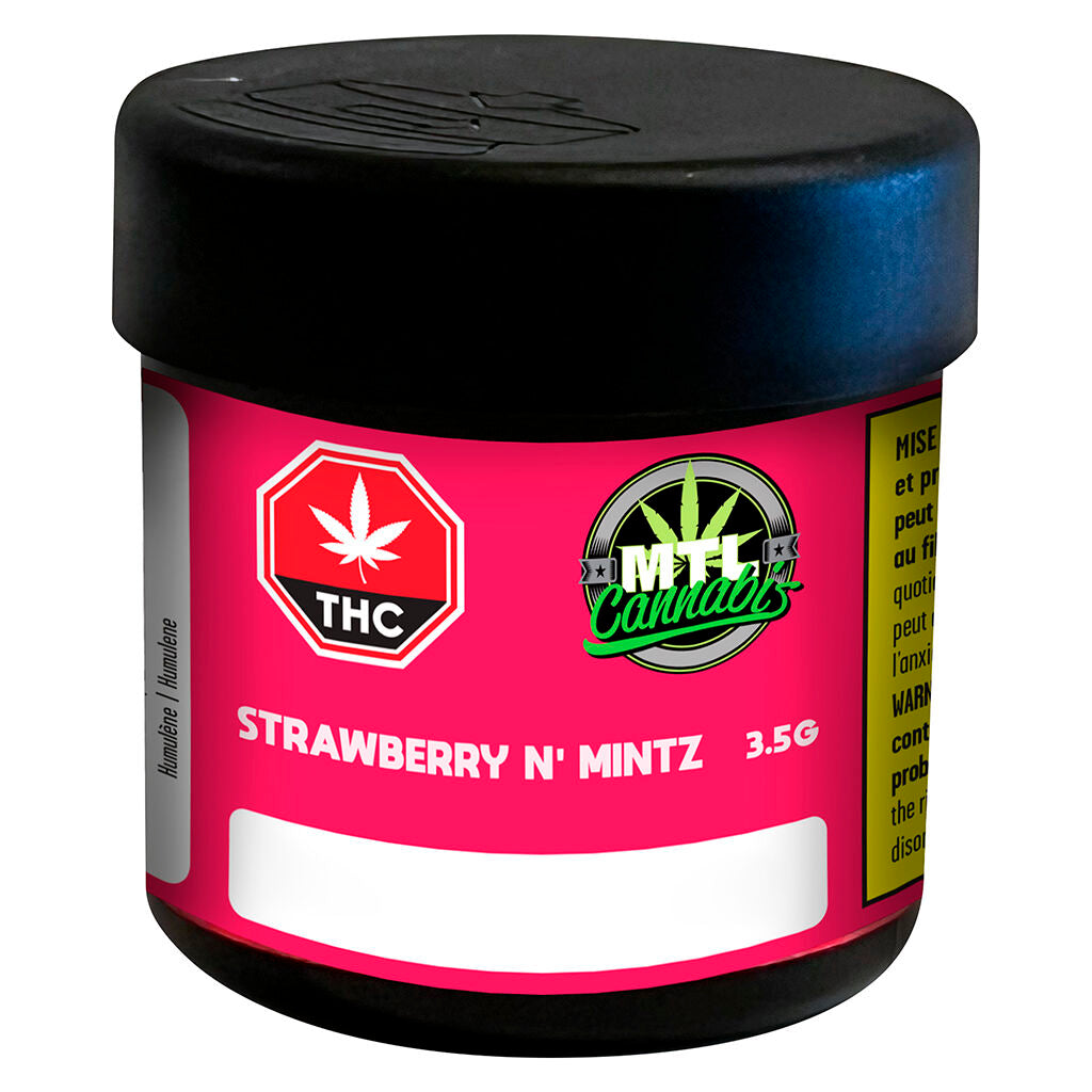 Strawberry n' Mintz - 
