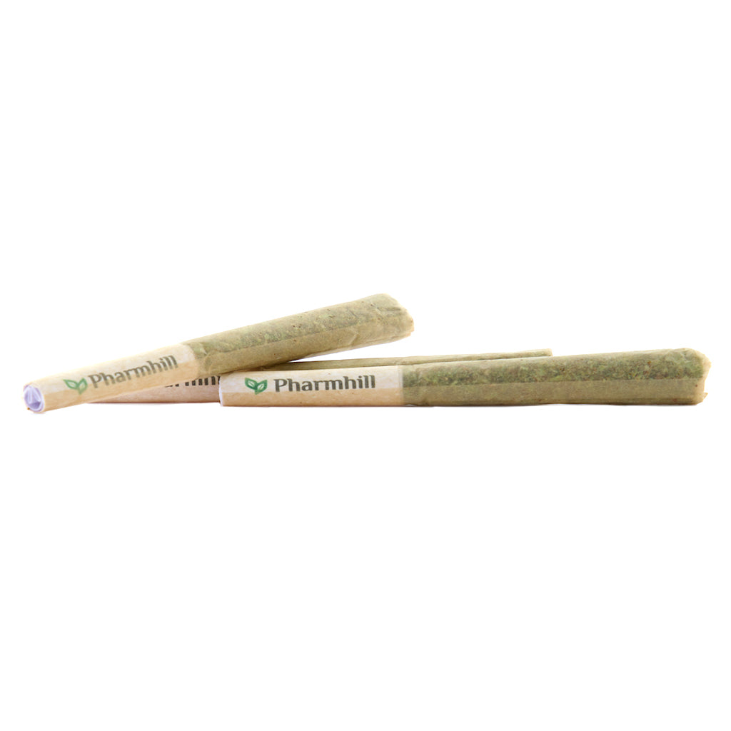 Future #1 (The Great One) Pre-Roll - 