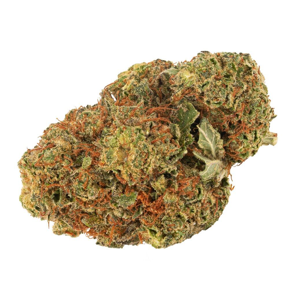 Daily Special Indica - 