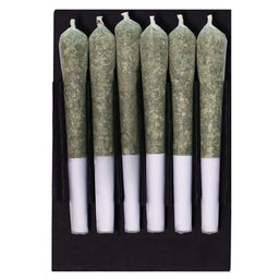 Photo Pre-Roll Variety Pack