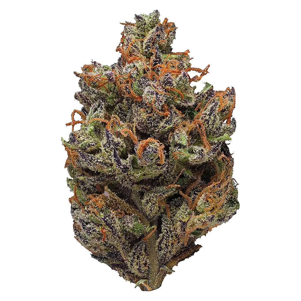 Craft Collection - Indica - 