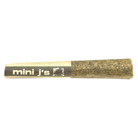 Photo Day & Night Combo Pack Pre-Roll