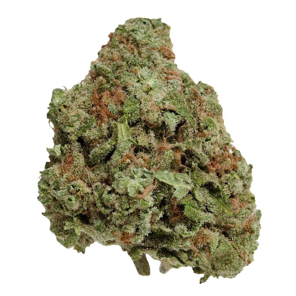 Northern Berry
