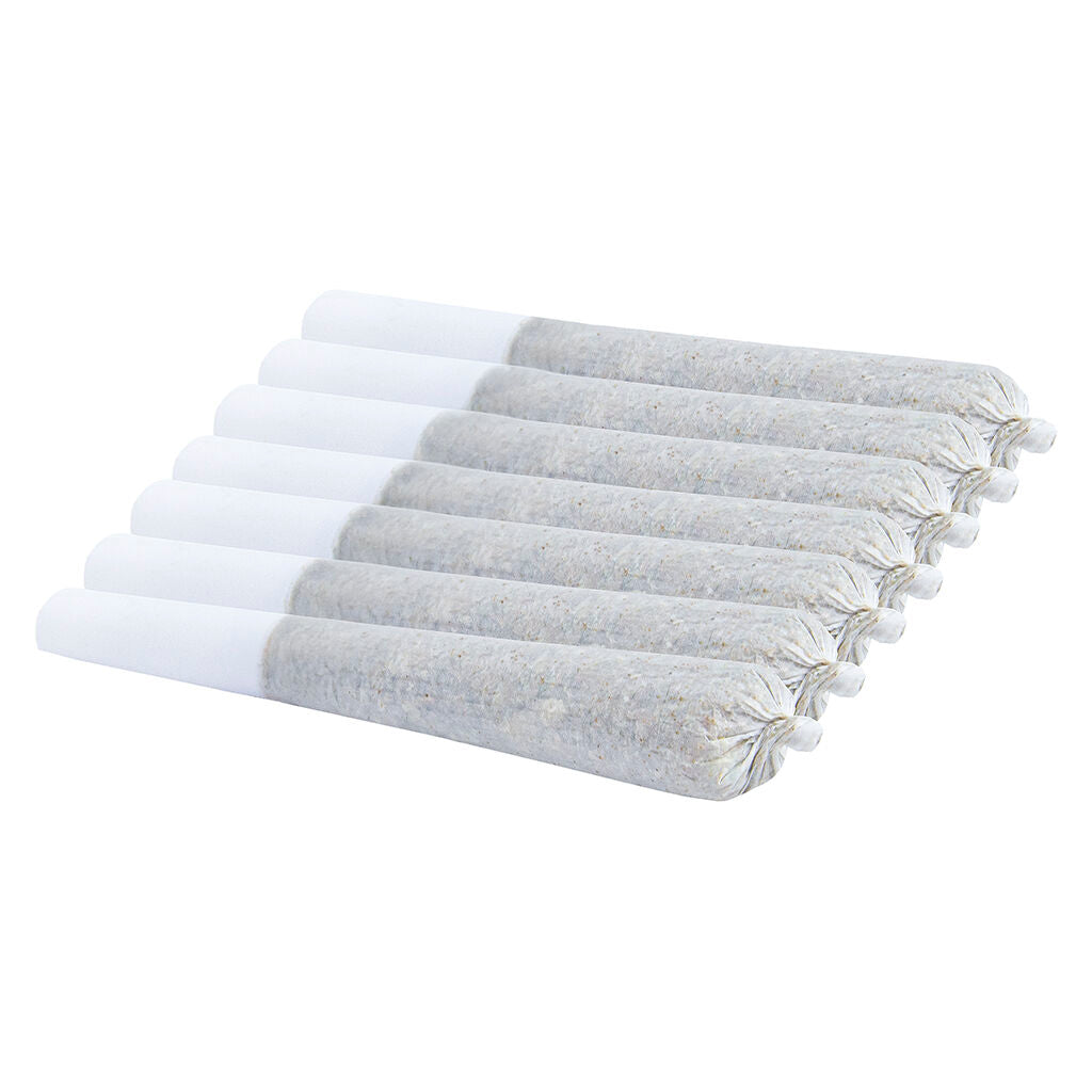 Group Of Seven" Pre-Roll - 