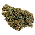 Whole Plant CBD Bud