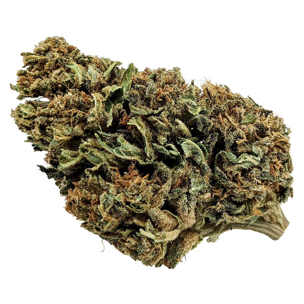 Whole Plant CBD Bud