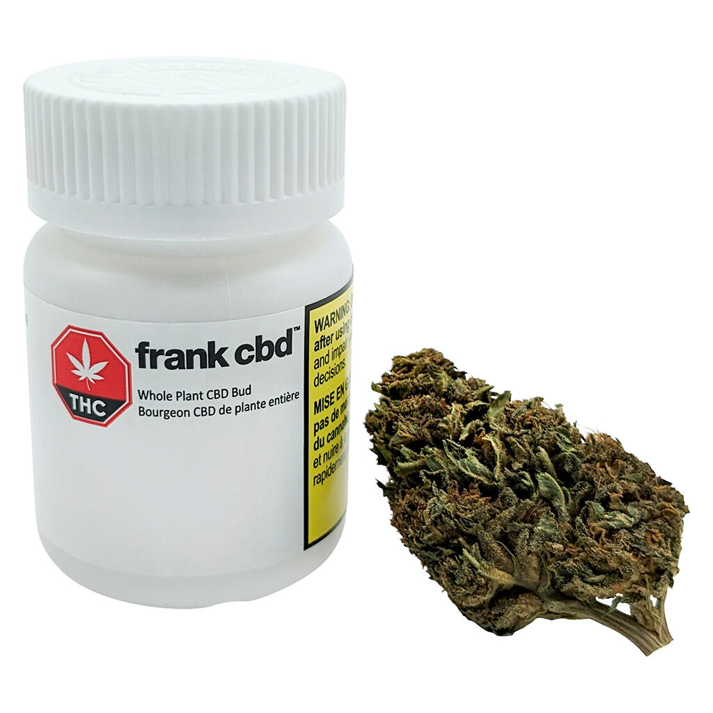 Whole Plant CBD Bud