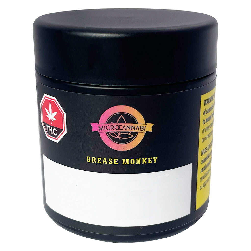 Grease Monkey - 