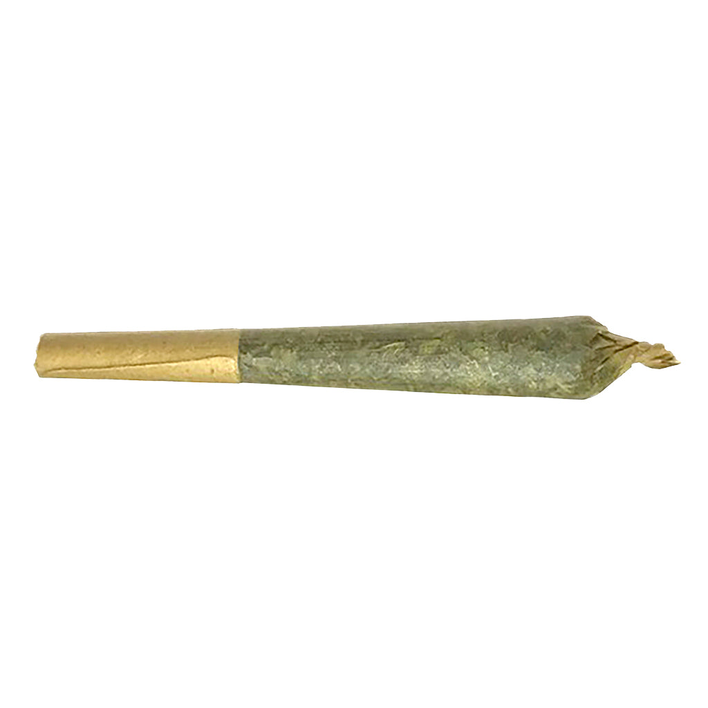 The French Twist Pre-Roll - 